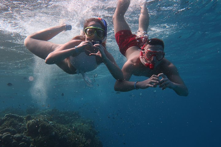 Snorkeling trip in Red Sea - Photo 1 of 6