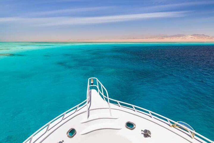 Swim With Dolphins at Sataya Reef from Marsa Alam  - Photo 1 of 6