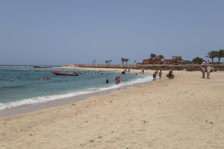 Turtles Bay, Swimming with Turtles Hurghada & Marsa ALam  - Photo 1 of 11