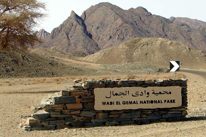 Wadi El Gemal Desert Expedition with Transport - Photo 1 of 6