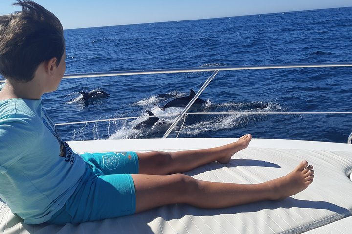 Dolphin watching in Marbella from boat. A large number of dolphins accompany us to play with us