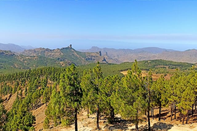 Snow Peak & Roque Nublo