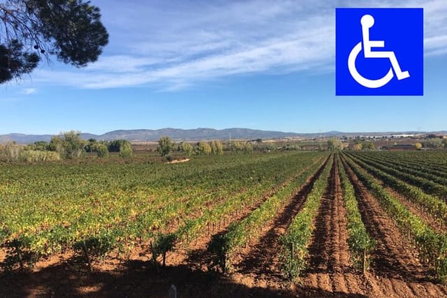 Accessible Valencia: Private, Accessible Wine Tour with Lunch - Photo 1 of 6