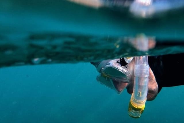 Afternoon Snorkeling Excursion in Gran Canaria - Photo 1 of 3