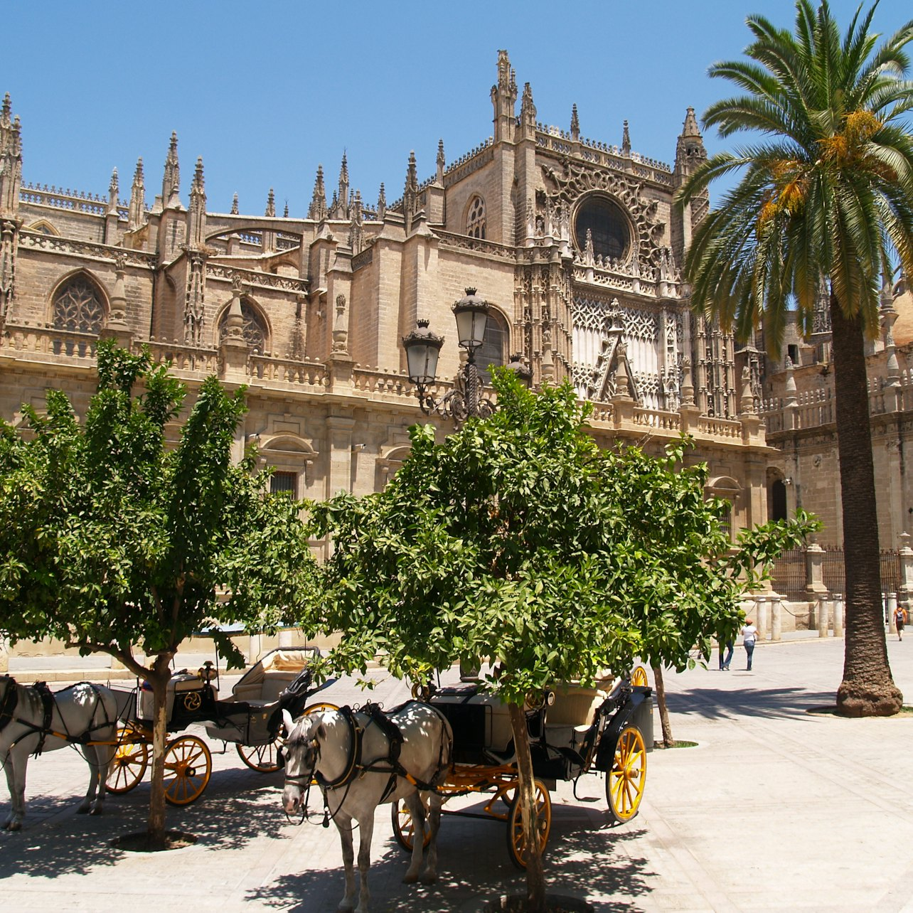 Alcázar of Seville: Skip The Line + Guided Tour - Photo 1 of 6