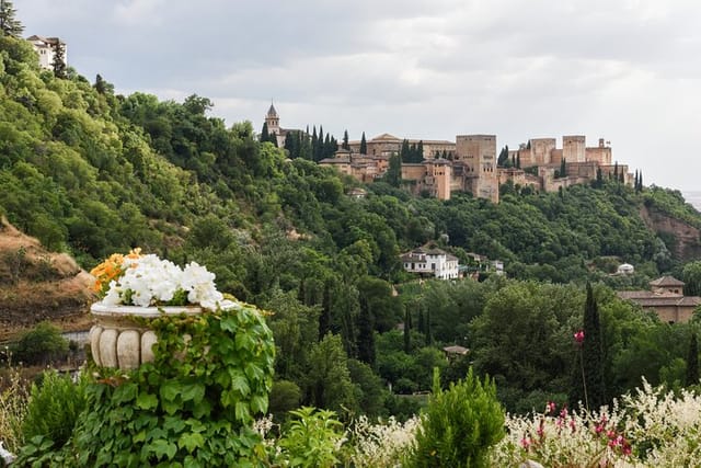 Alhambra guided tour(English guide, full entrance & audio guide) - Photo 1 of 6