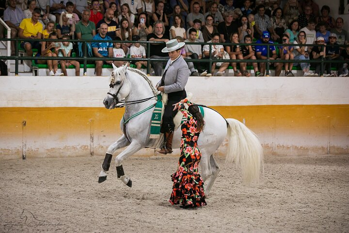 Andalusian Horses and Flamenco show with transportation - Photo 1 of 10