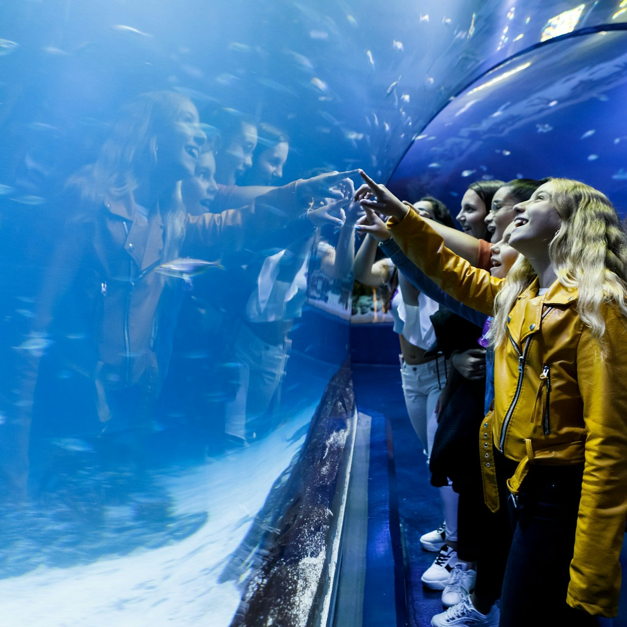 Atlantis Aquarium: Skip The Line - Photo 1 of 10