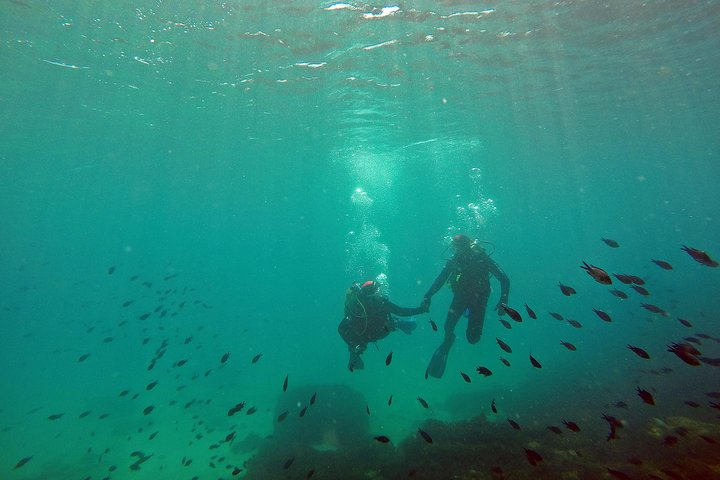 Baptism of diving in the Natural Park of the Strait - Photo 1 of 9