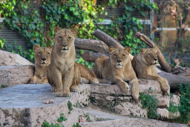 Barcelona Zoo - Photo 1 of 11