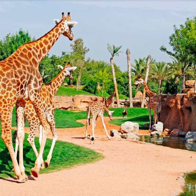 Bioparc Valencia: Fast Track - Photo 1 of 7