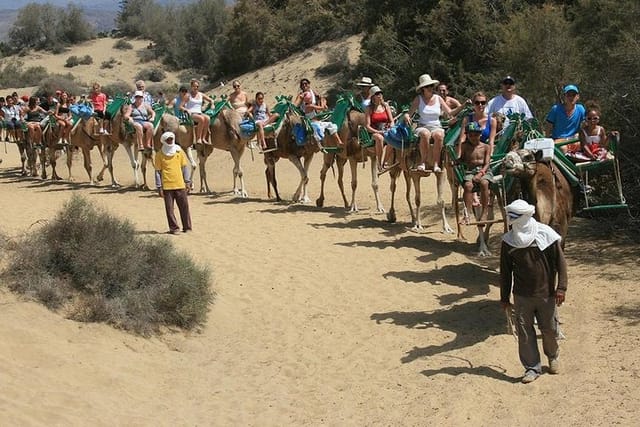 Camel riding