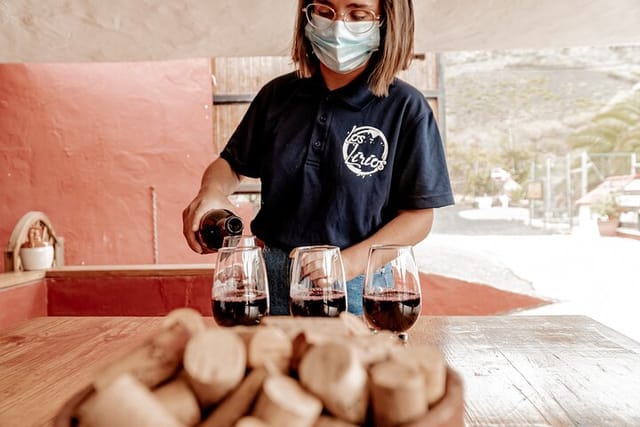 canarian-wine-experience-at-bodega-los-lirios_1