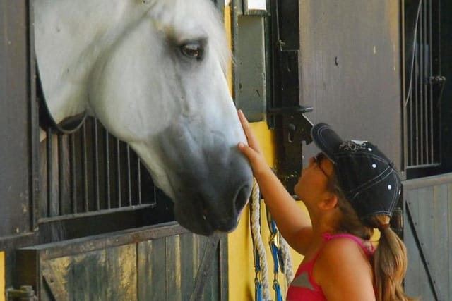 Carthusian Stud private – Yeguada de la Cartuja - Photo 1 of 10