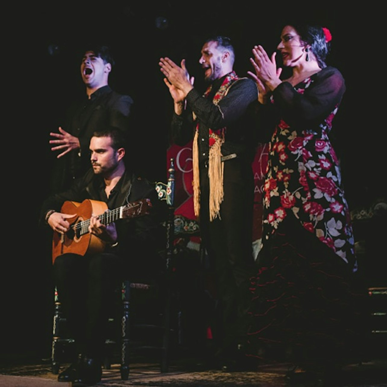 Casa Ana Granada: Traditional Flamenco Show - Photo 1 of 3