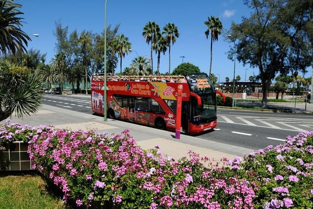 Las Palmas de Gran Canaria 