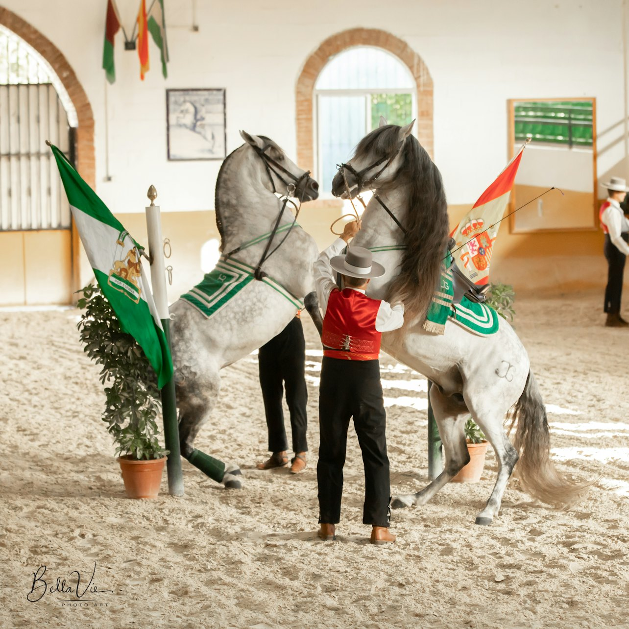 Club Hipico El Ranchito: Andalusian Horse and Flamenco Show - Photo 1 of 6