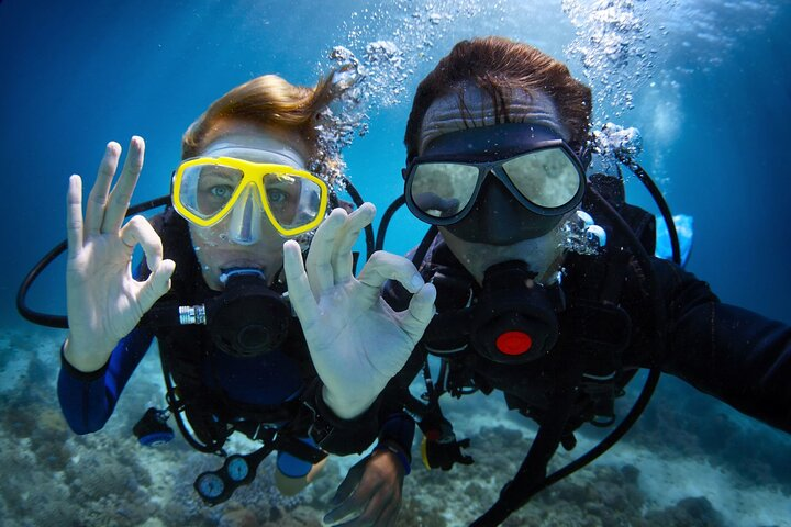 Discover PADI Diving in Barcelona - Photo 1 of 7