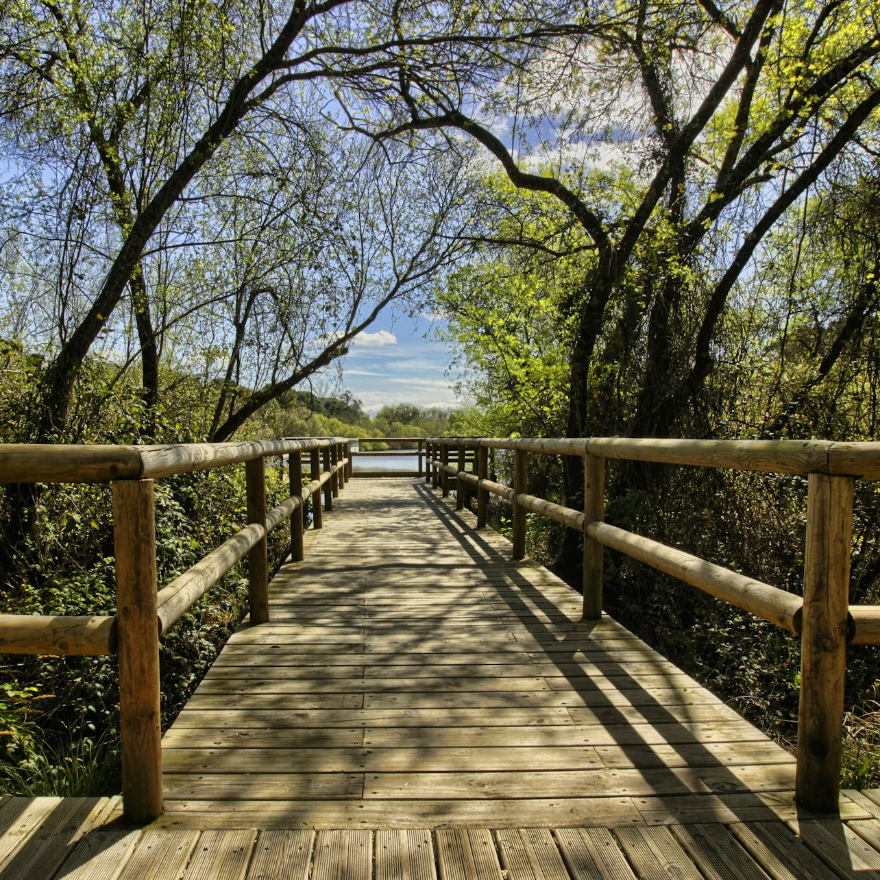 Doñana National Park and El Rocío: Day Trip from Seville - Photo 1 of 12