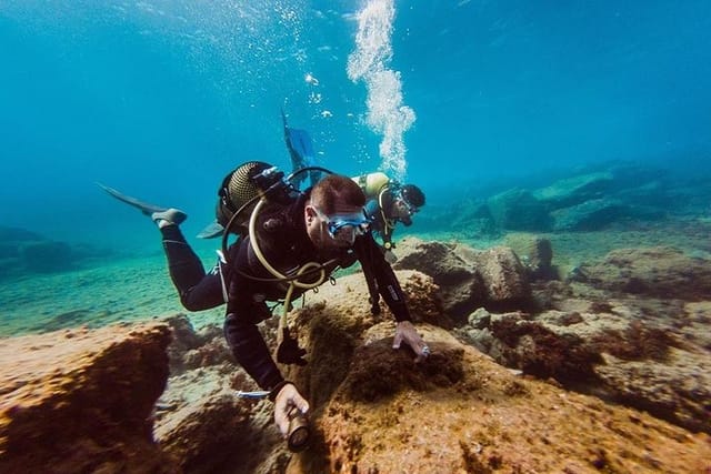 Eco Adapted Diving in Tenerife - Photo 1 of 6