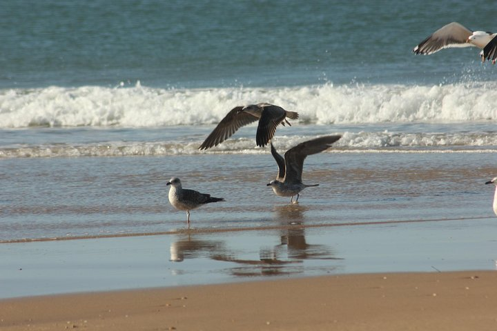 Donana Natural Park 