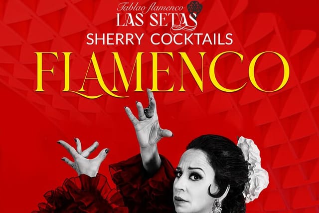 espectaculo-flamenco-tablao-las-setas_1