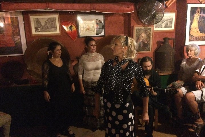 Flamenco and Tapastour with a flamenco artist - Photo 1 of 4