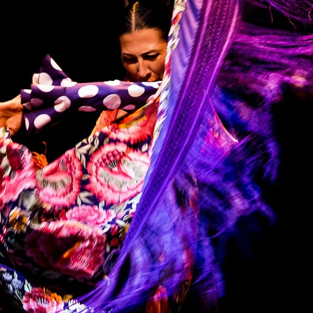 Flamenco Dance Museum - Show Only - Photo 1 of 6