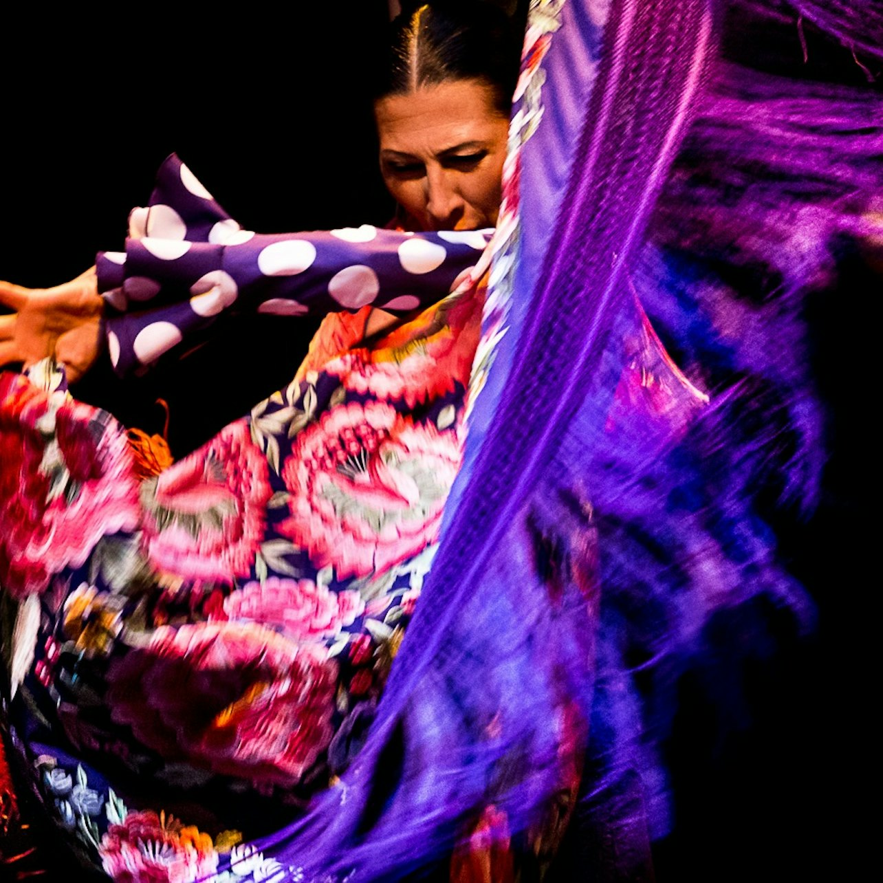 Flamenco Dance Museum - Show Only - Photo 1 of 6