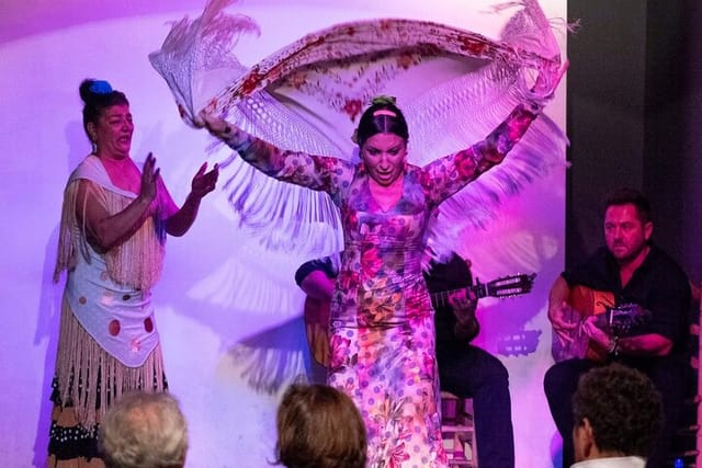 Flamenco show at the foot of the Giralda in Seville - Photo 1 of 15