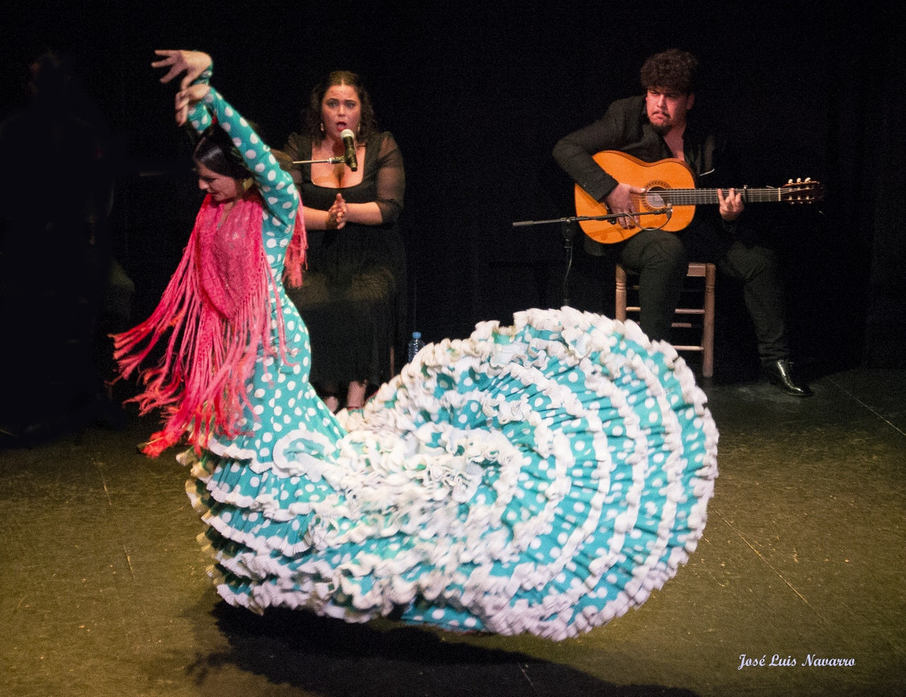 Flamenco Show at Triana Theater Tickets - Photo 1 of 8