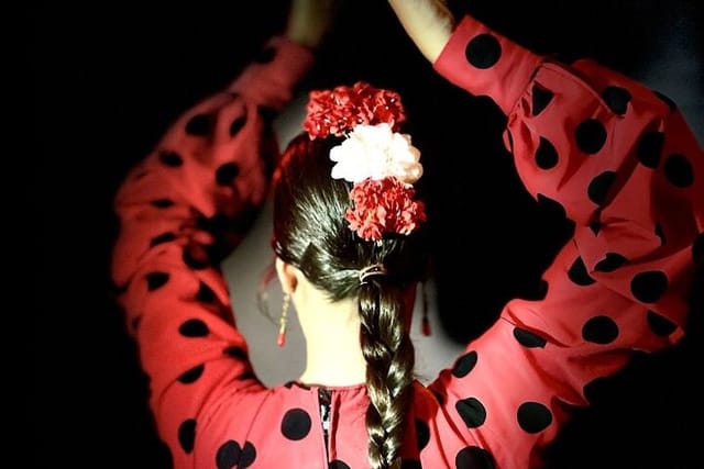 Flamenco show in the heart of Triana - Photo 1 of 10