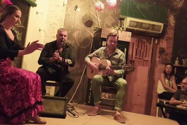 Flamenco show with wine tasting and tapas at Bodega La Jara - Photo 1 of 6