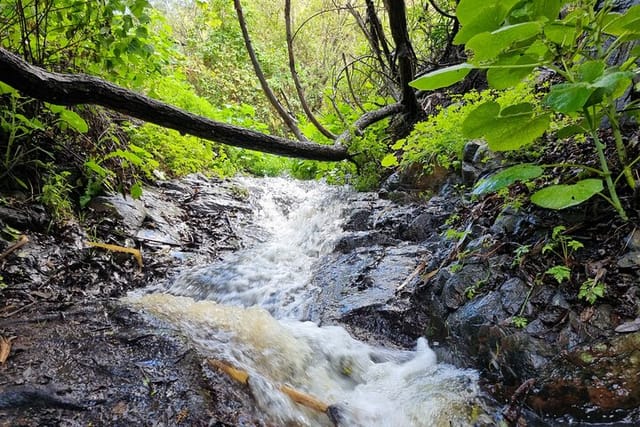 Full day Hiking and Waterfalls Experience - Photo 1 of 9