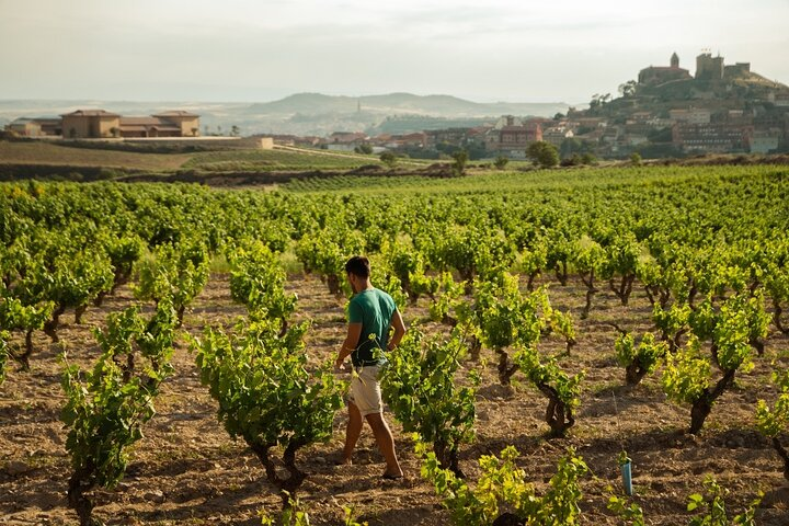 Full-Day Private Cultural and Gastronomic Adventure in Rioja - Photo 1 of 11