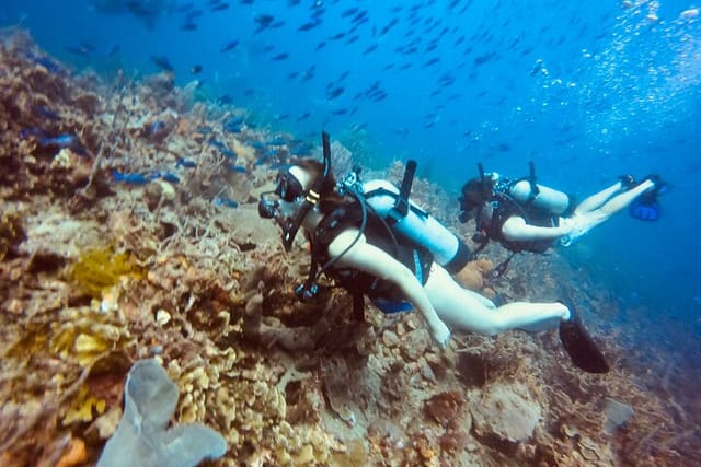 Full Day Scuba Diving in Rosario Islands - Photo 1 of 5