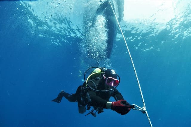 Decending down the line at the beautiful Cermona 2 wreck outside Puerto de Mogan.