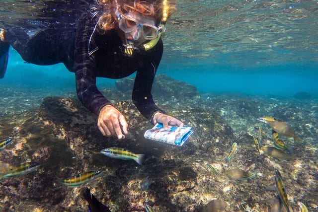 Guided Snorkel Experience - Photo 1 of 9