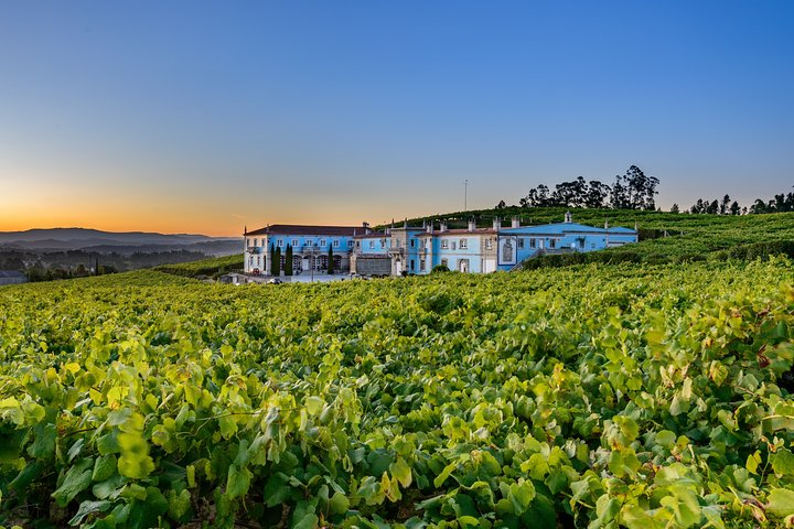 Guided tour of Bodegas Granbazán - Photo 1 of 10