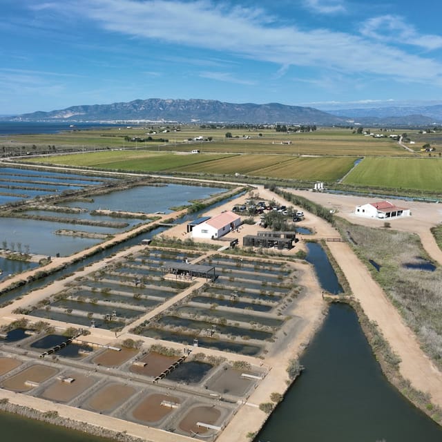 Guided visit to MónNatura Delta de l'Ebre - Photo 1 of 24