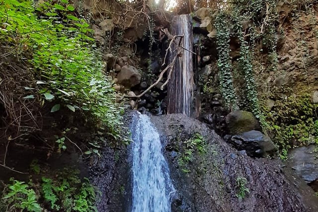 Hiking in Waterfalls & Rainforest by 2 native guides - Photo 1 of 14