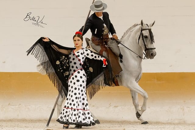 horse-and-flamenco-show-in-malaga-with-dinner_1