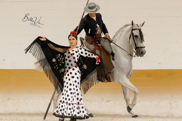 Horse and Flamenco Show in Malaga - Photo 1 of 10