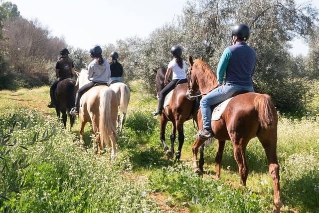 horseback-riding-around-donana_1