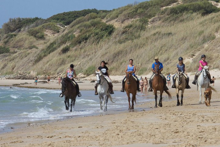 Horseback Riding by the beach or mountain in Tarifa, Spain - 1 to 2 hrs - Photo 1 of 13