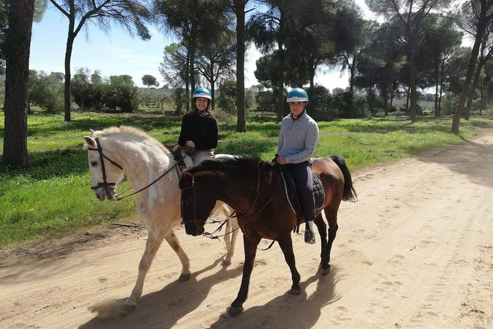 Horseback Riding in Parque Natural Doñana, Sevilla - Photo 1 of 6