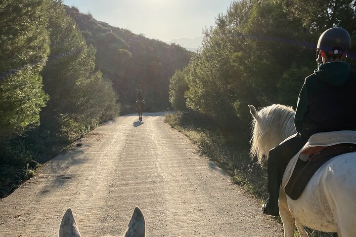 Horseback Riding with Certified Guide - Photo 1 of 8