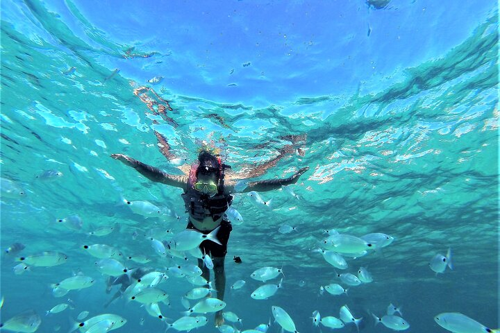 snorkeling with fishes in Ibiza