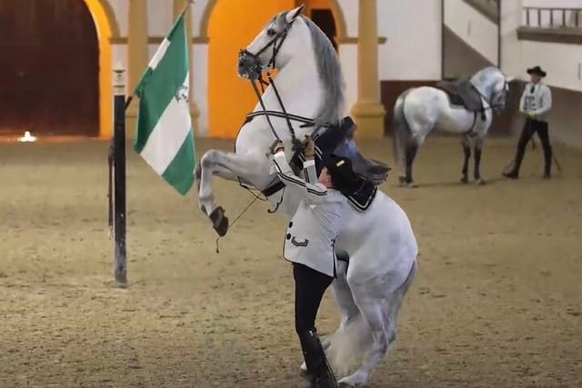 Watch a stunning Spanish riding show in Jerez