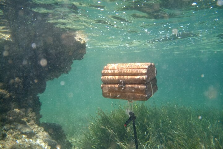 Kayak Treasure Hunt in Balearic Islands - Photo 1 of 5